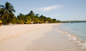 jamaica travel international