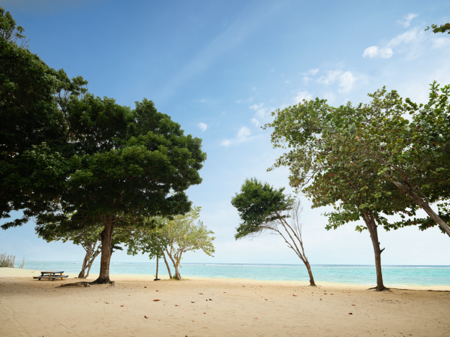 Pearly Beach