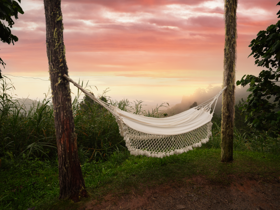 Holywell Park Hammock