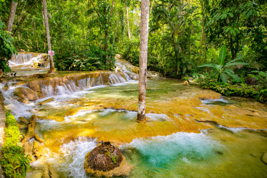 Dunns River Falls