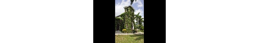 Our Lady of Perpetual Help