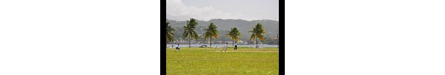 Cricket at Prison Oval